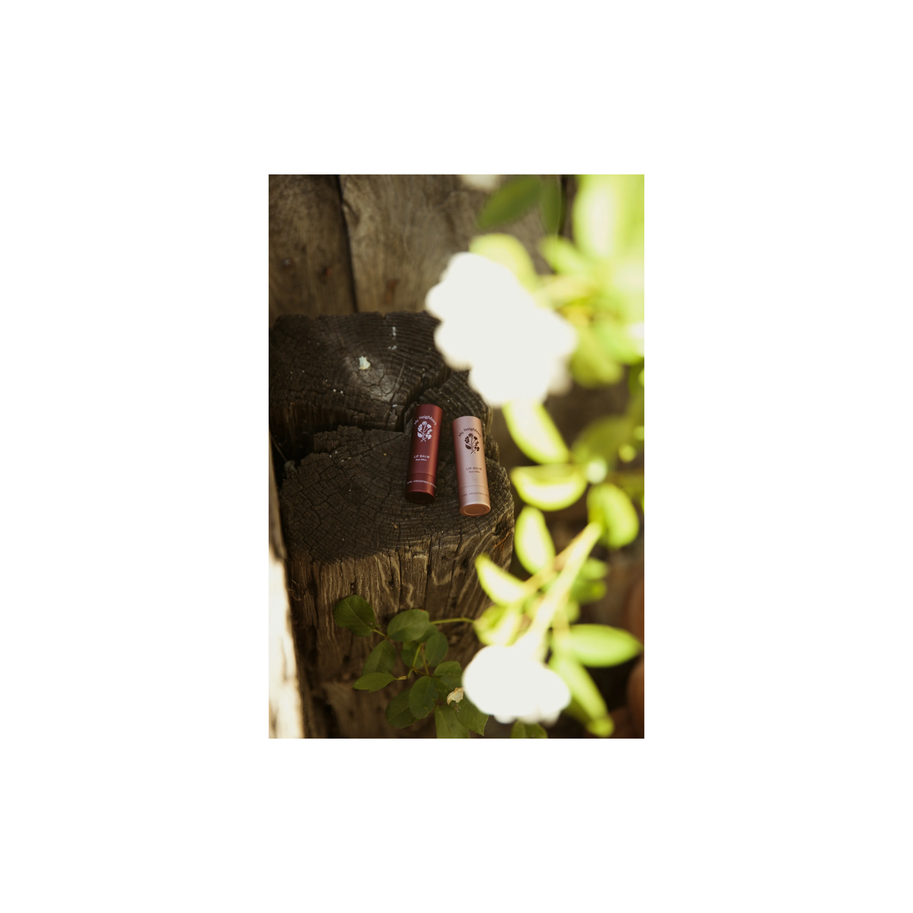 Tallow Lip Balm