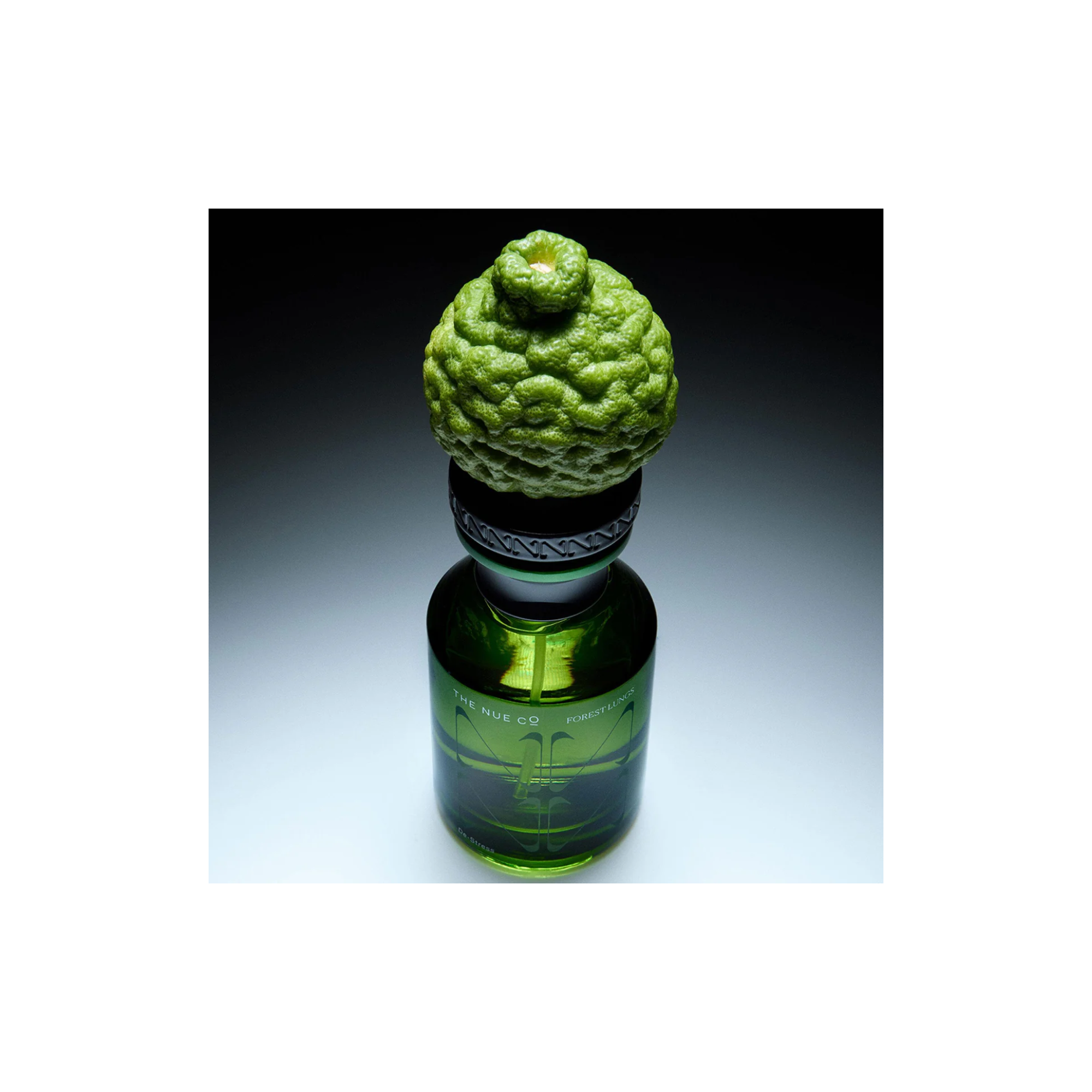 Forest Lungs Fragrance