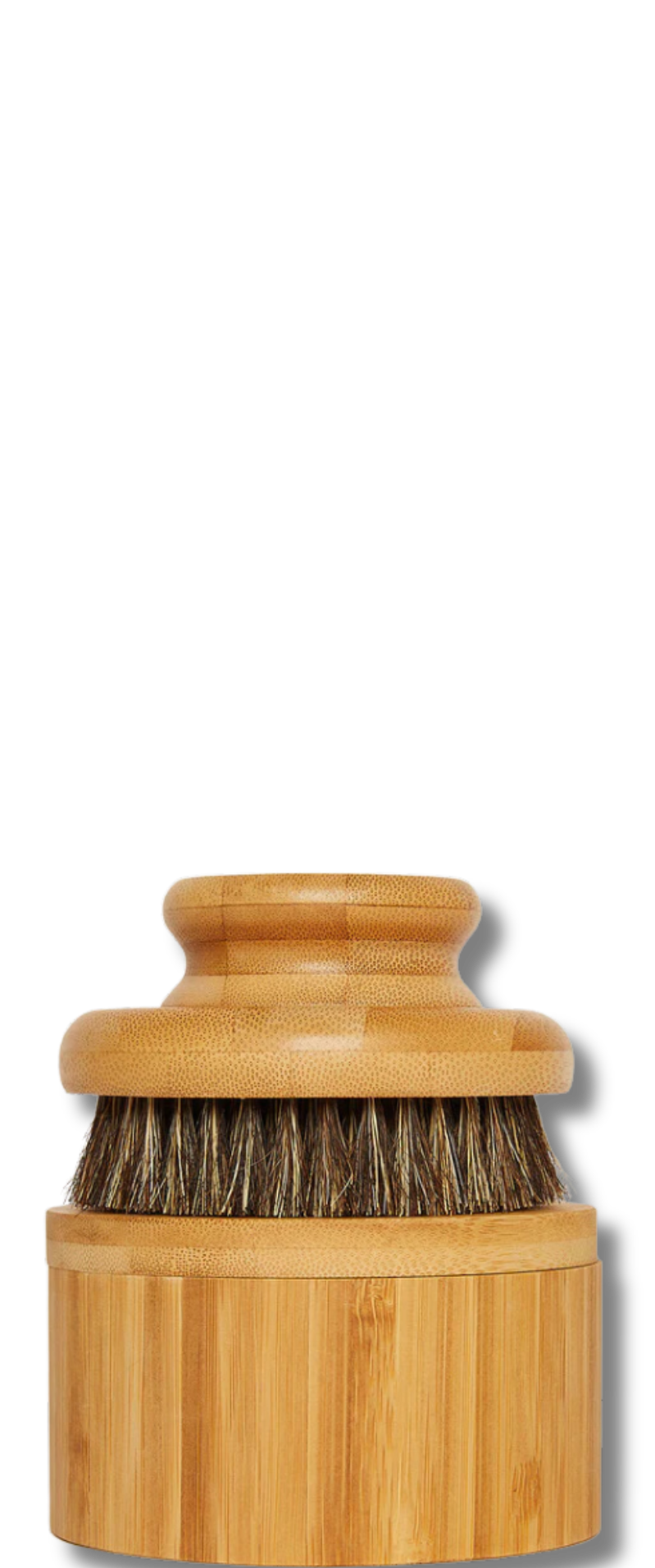 The Dry Brush