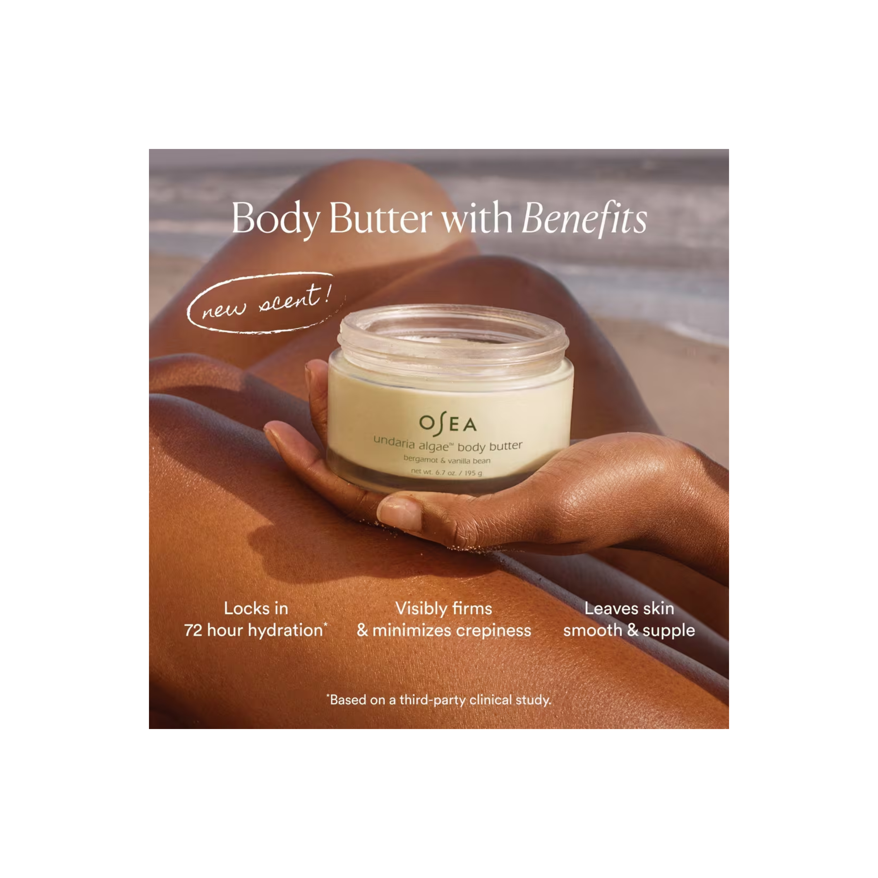 Undaria Algae Body Butter