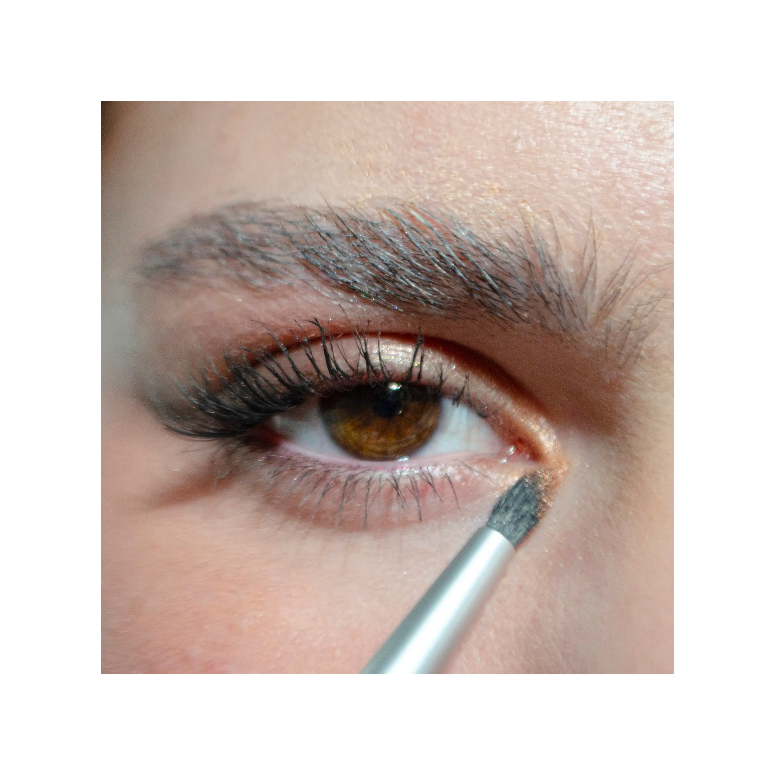 Makeup Brushes