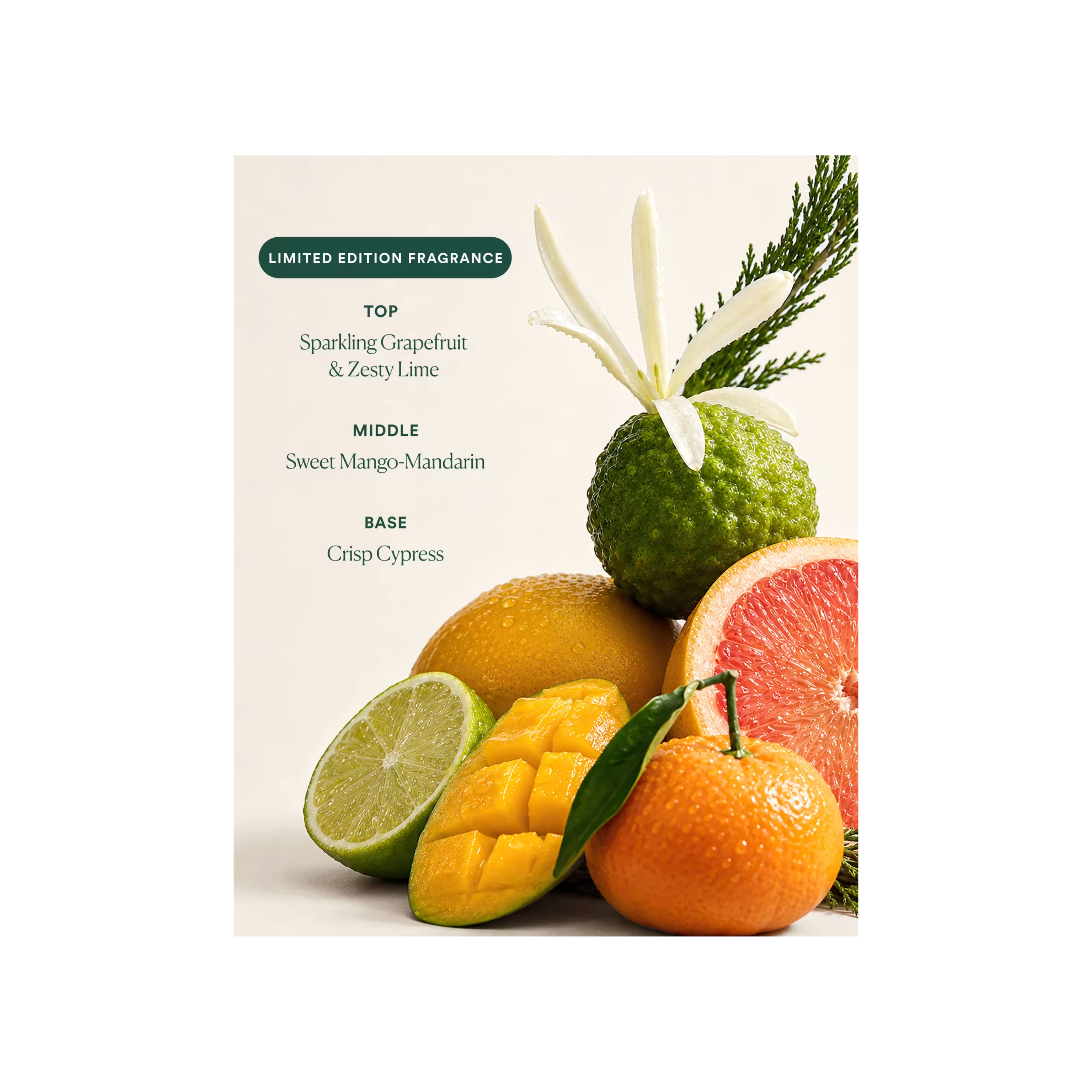 Undaria Uplift Fragrance Mood Oil