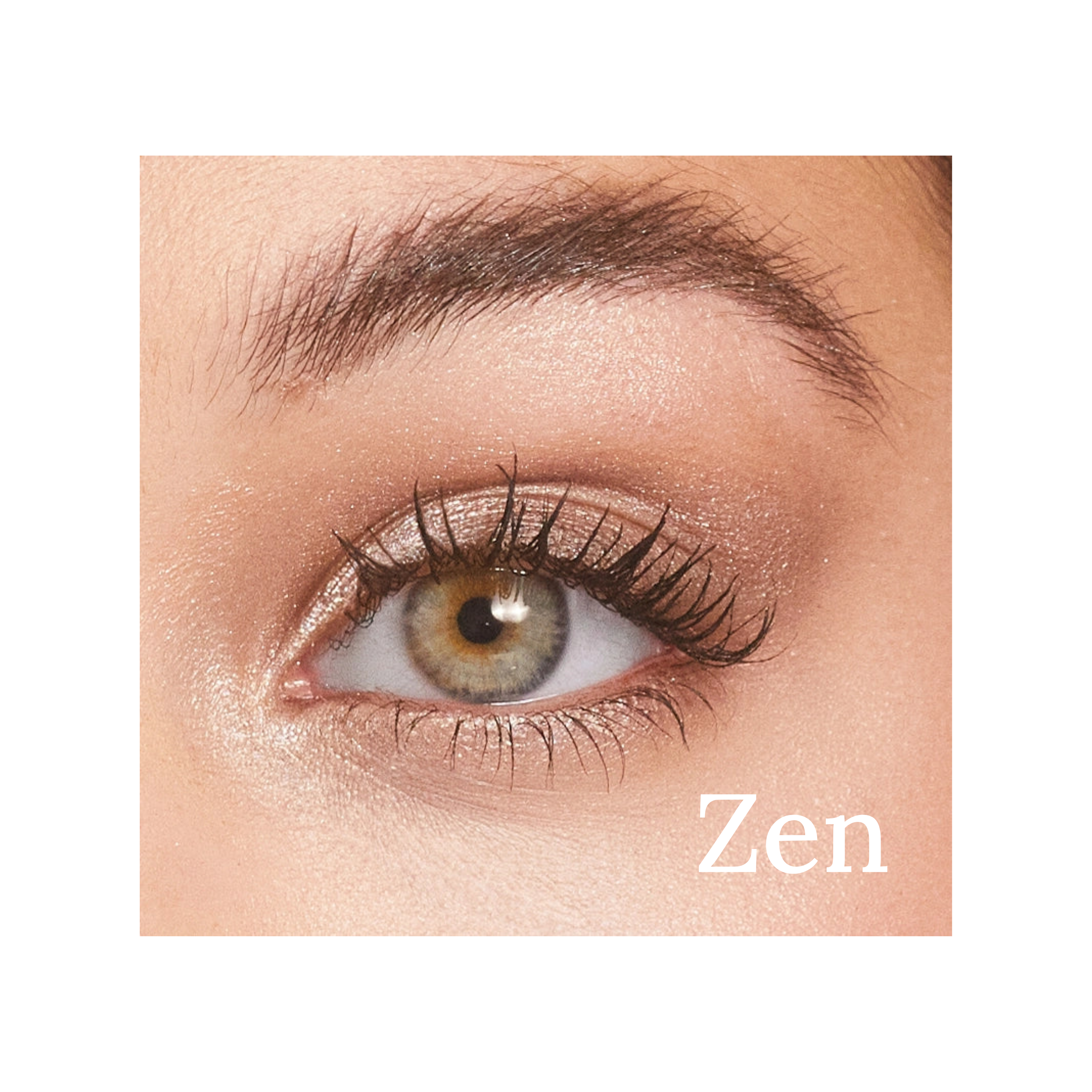 Pretty Shady Eyeshadow Trios
