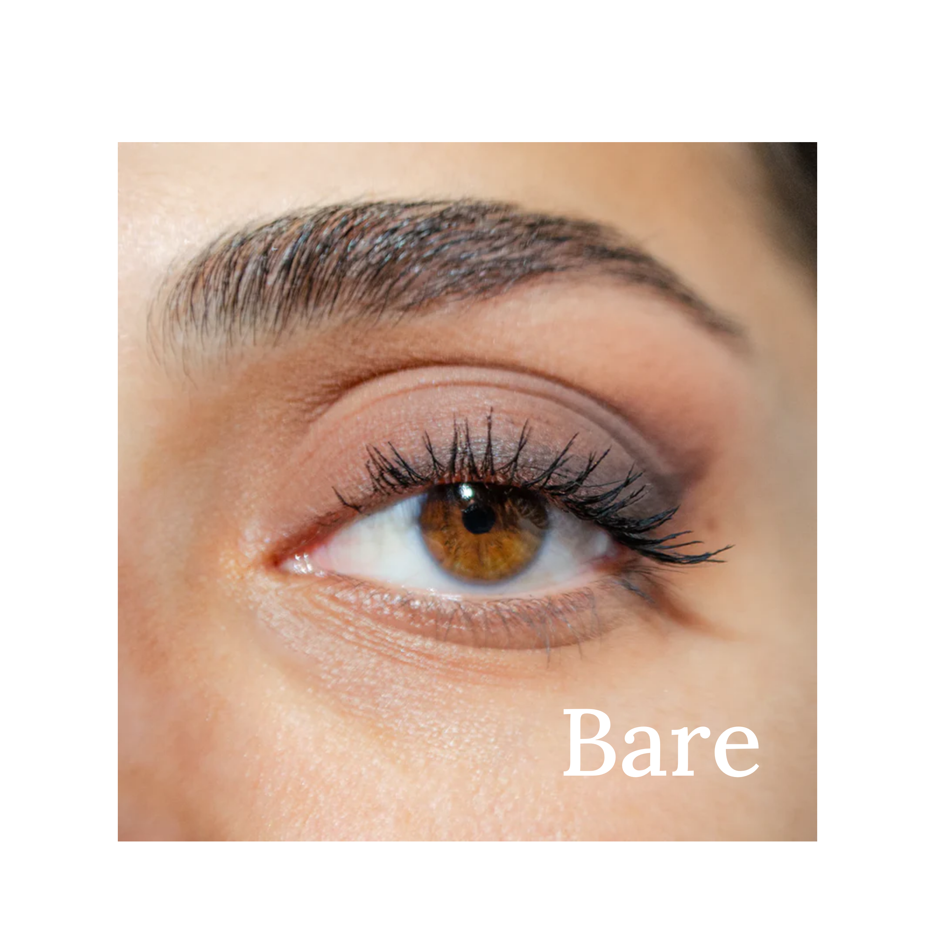 Pretty Shady Eyeshadow Trios