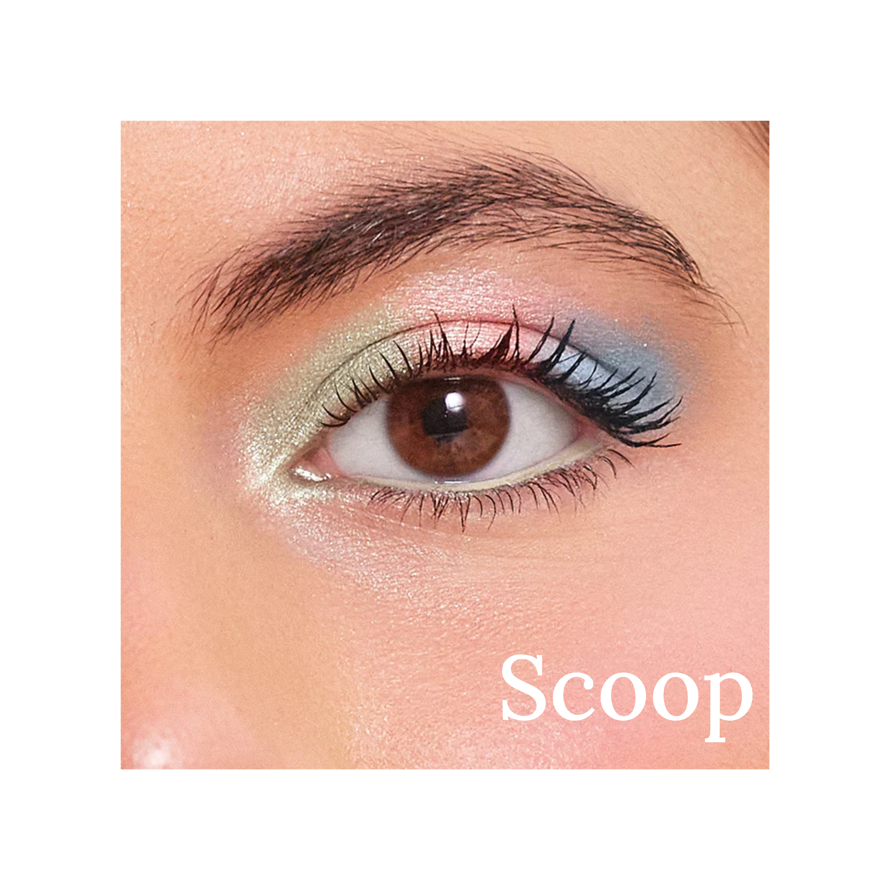 Pretty Shady Eyeshadow Trios
