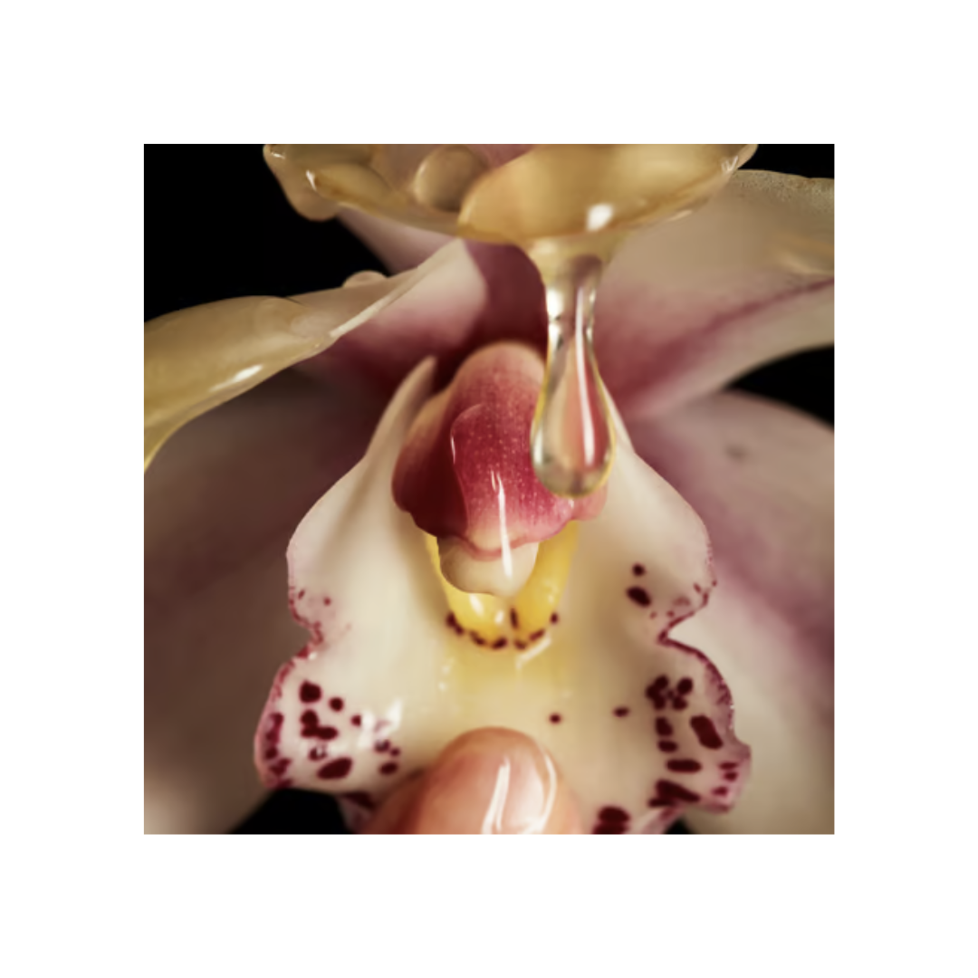 Sex Oil