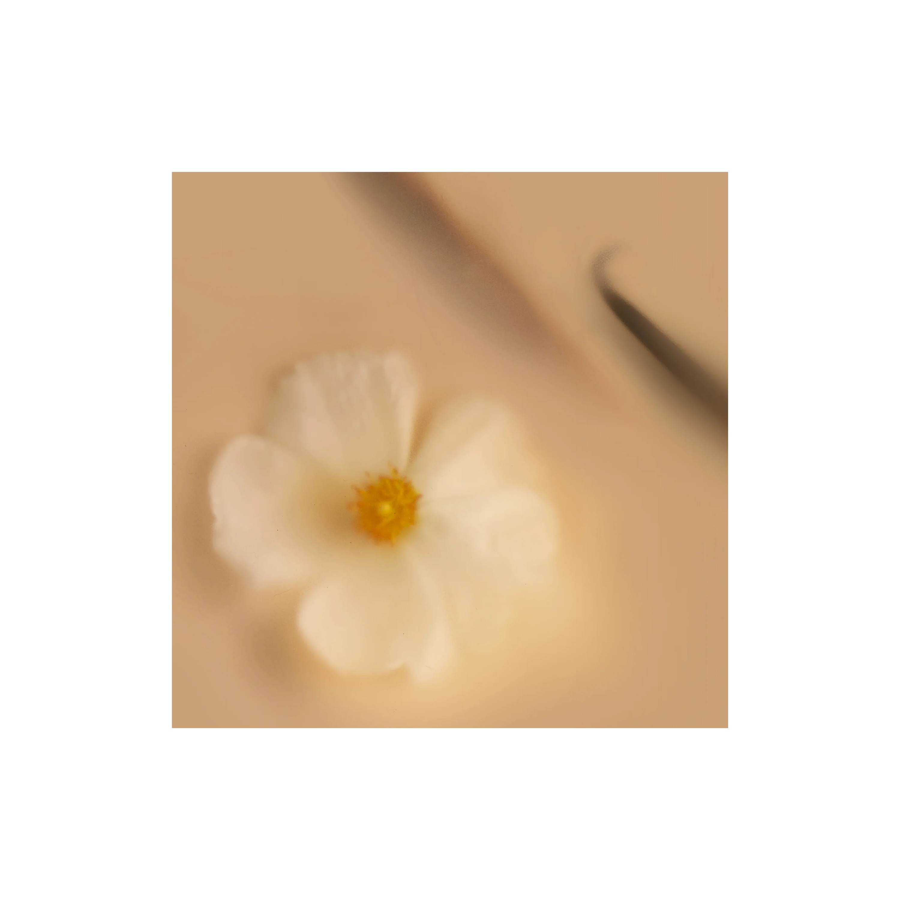 Chai Fleur