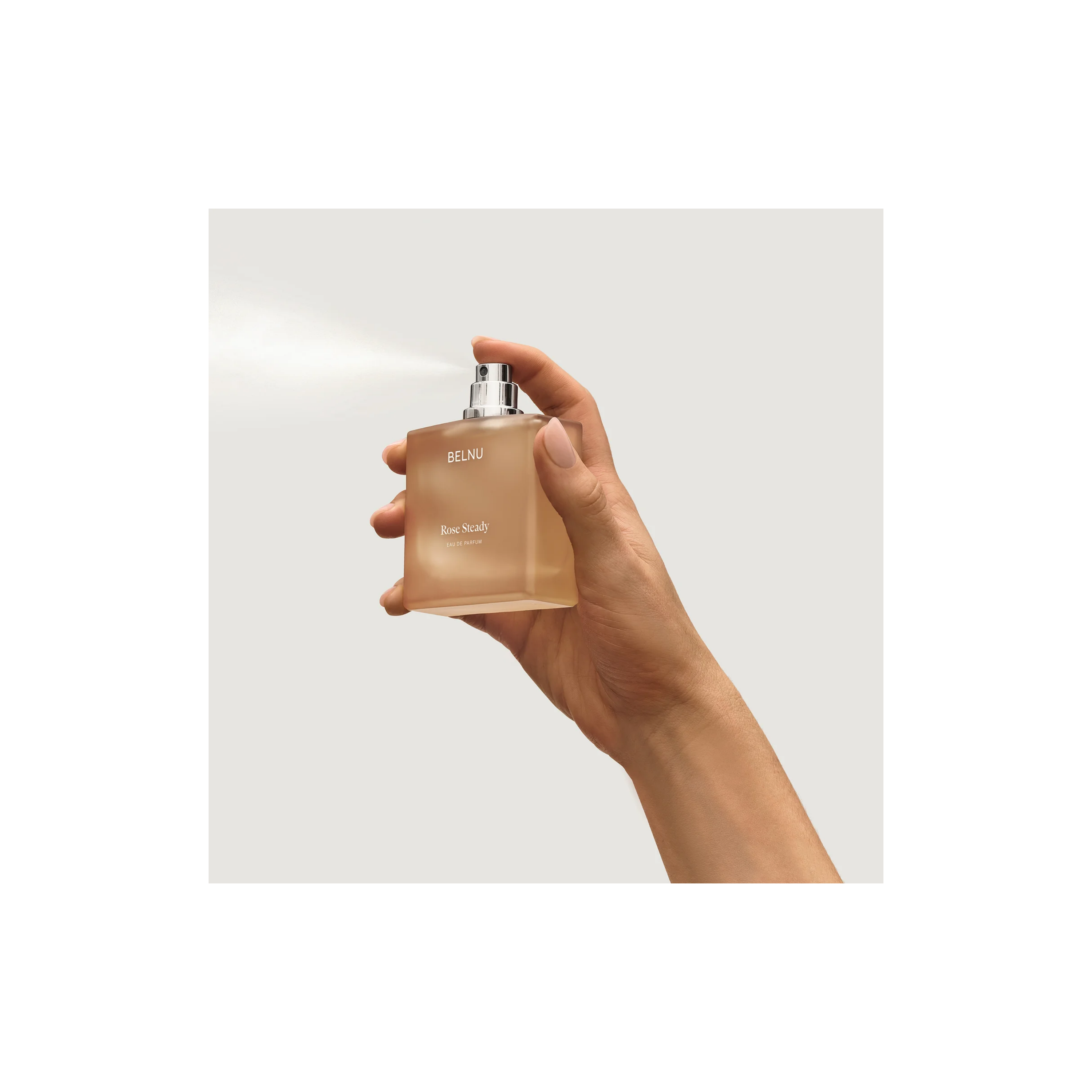 Rose Steady Fragrance