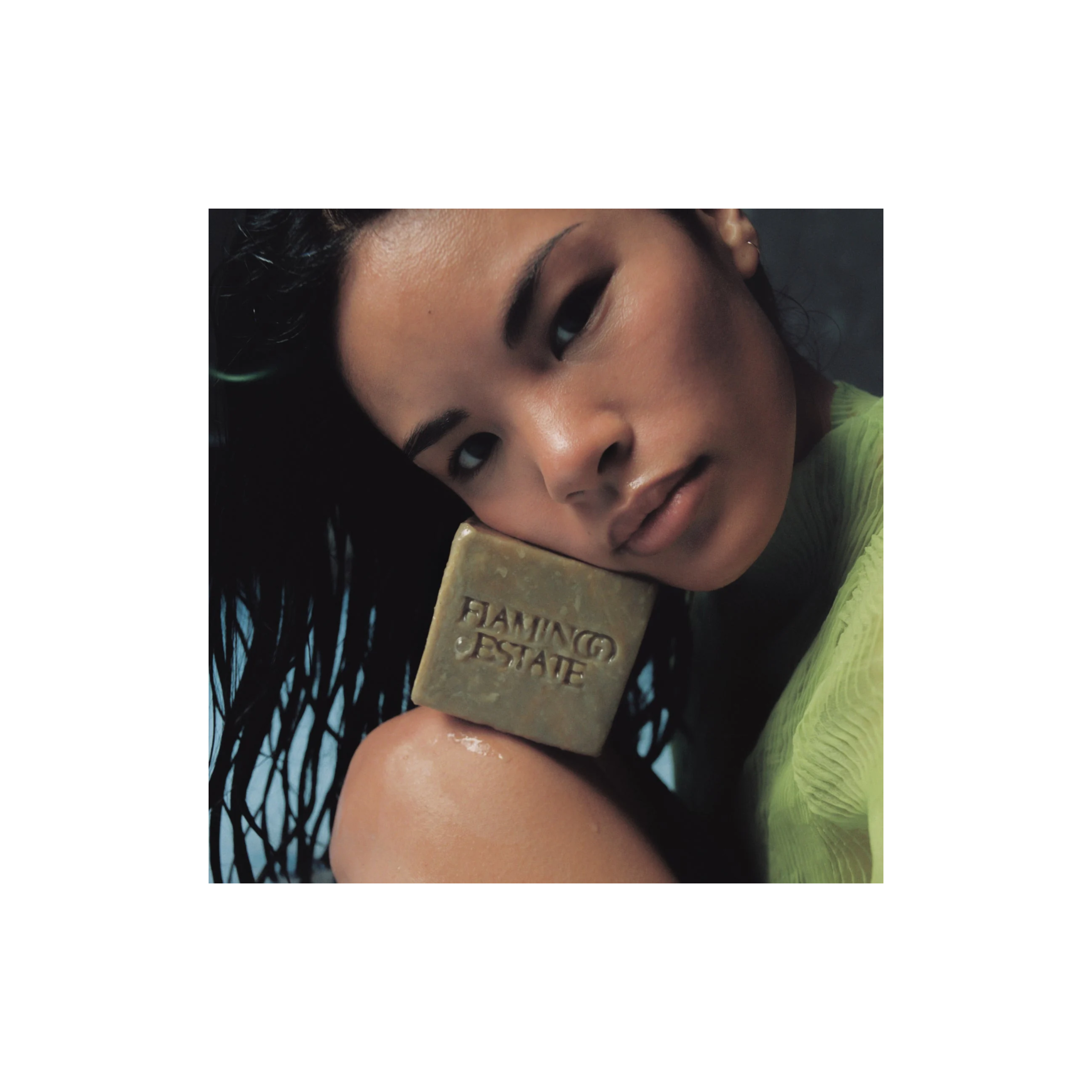 Green Goddess Soap Brick