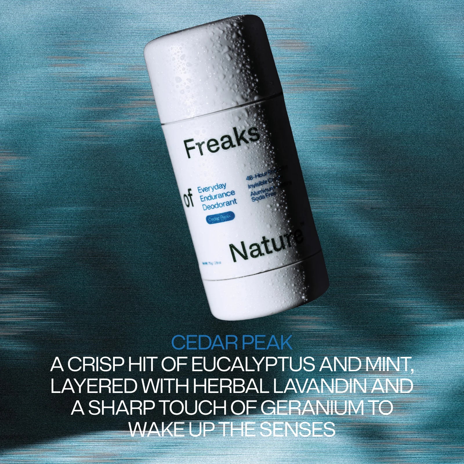 Everyday Endurance Deodorant