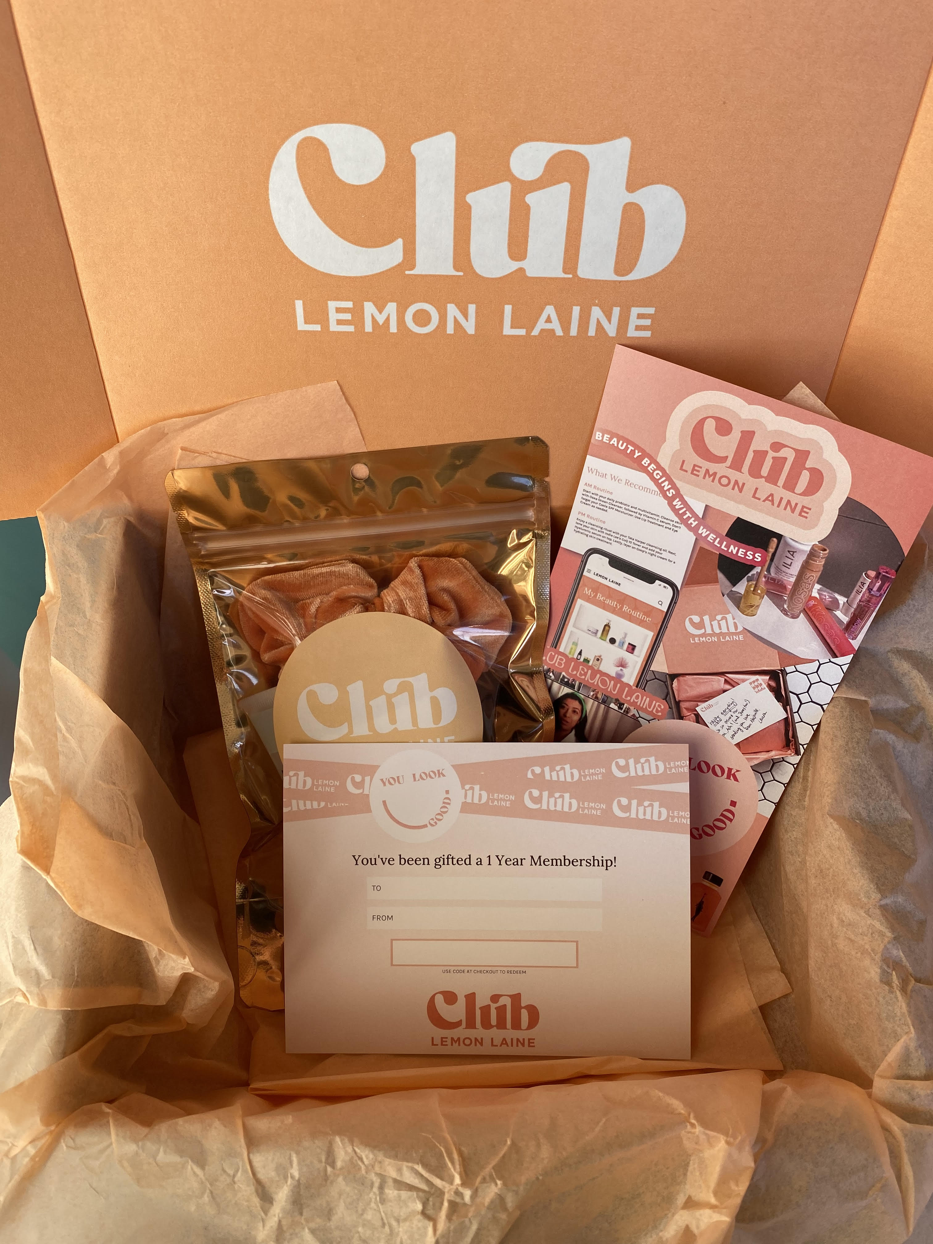 Gift Membership to Club Lemon Laine (1 year)
